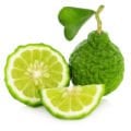 Bergamot Fidanı